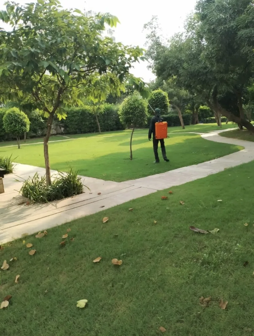 Terrace Garden India landscape project