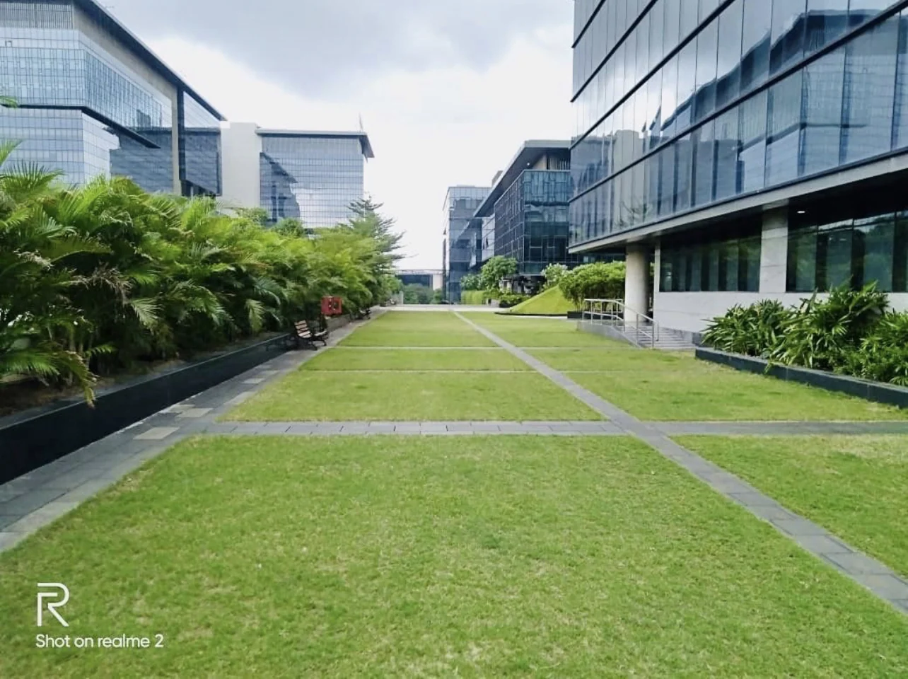 Landscape garden with mature planting and a stone path