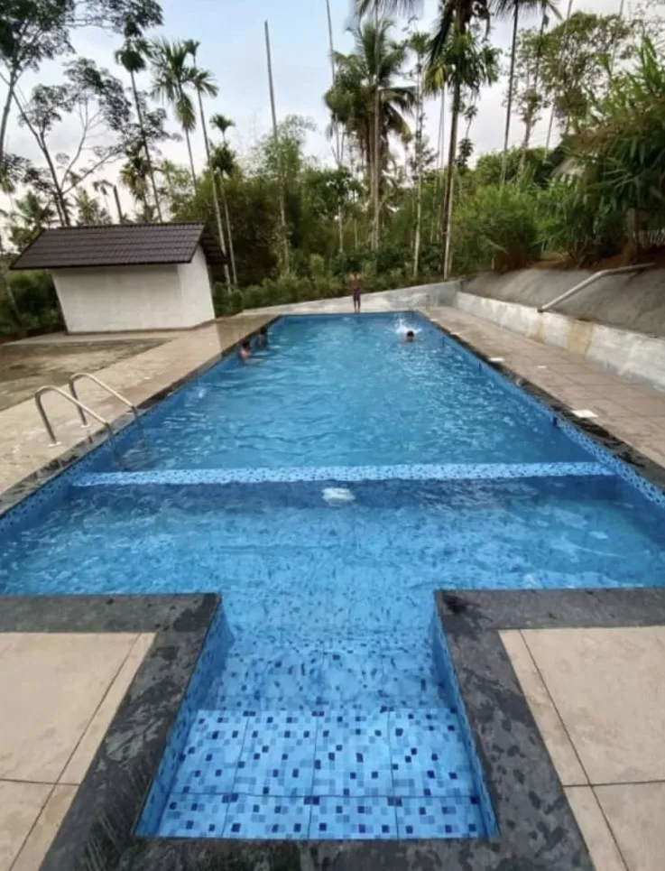 Terrace pool and lounge in a planted outdoor setting