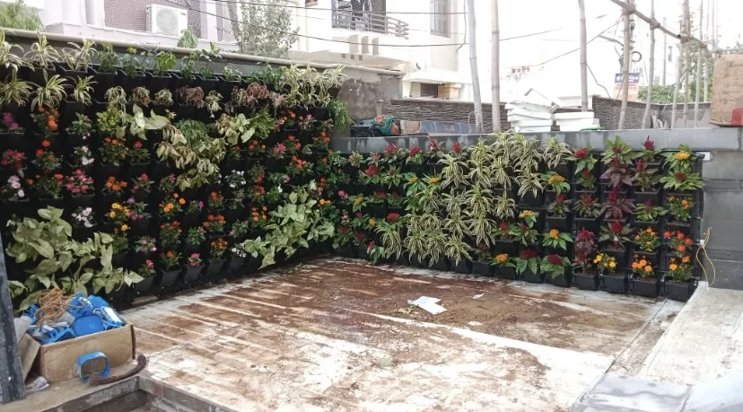 Japanese Zen and vertical garden project detail 6