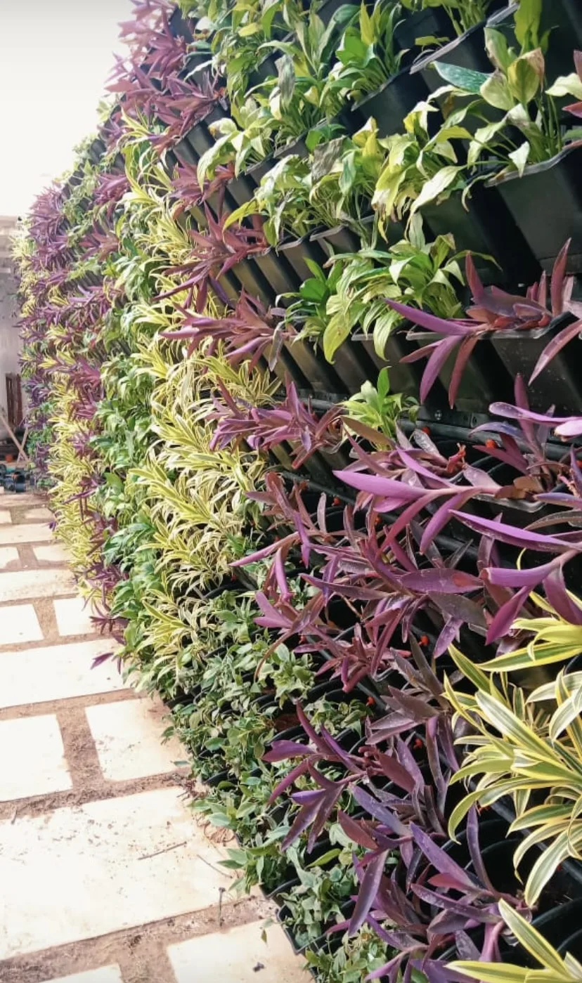 Japanese Zen and vertical garden project detail 7
