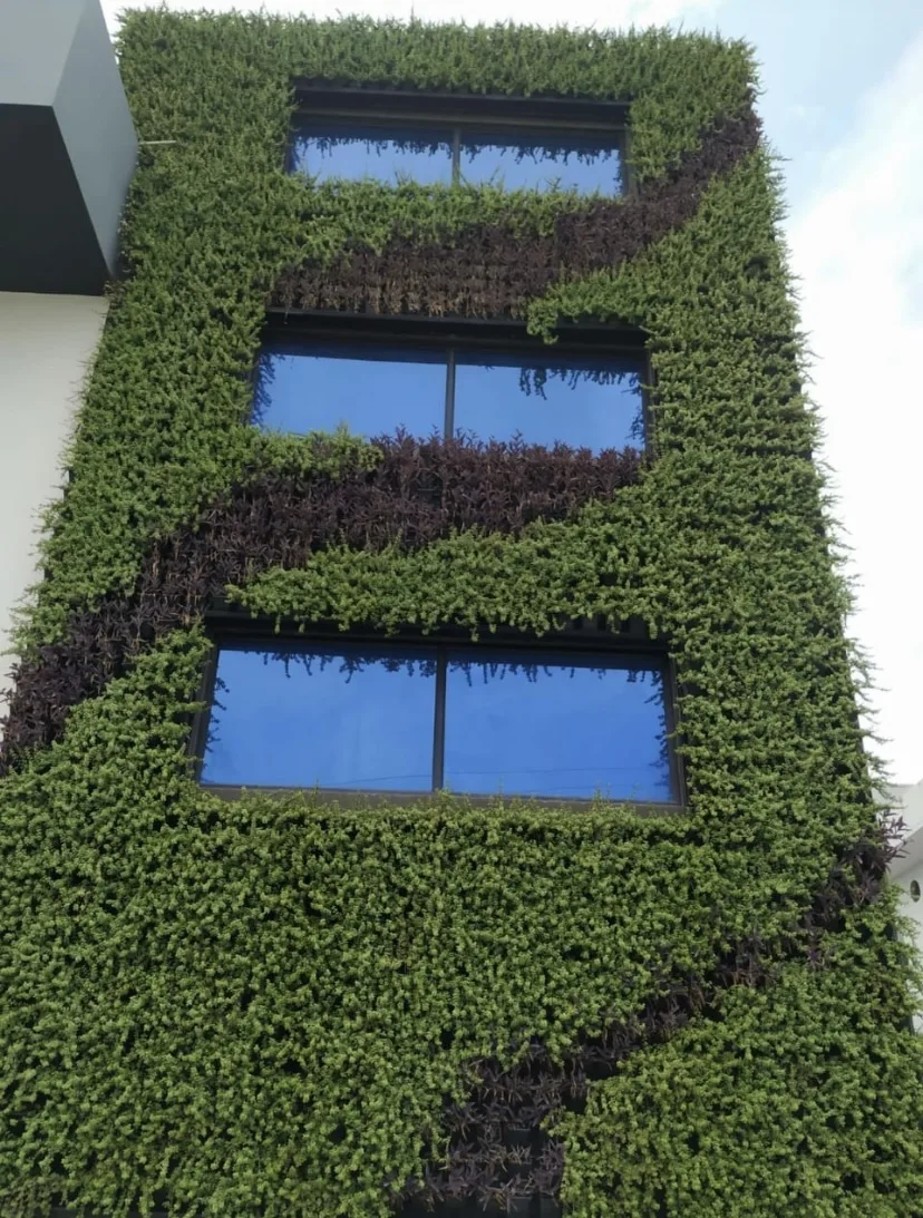 Japanese Zen and vertical garden project detail 12