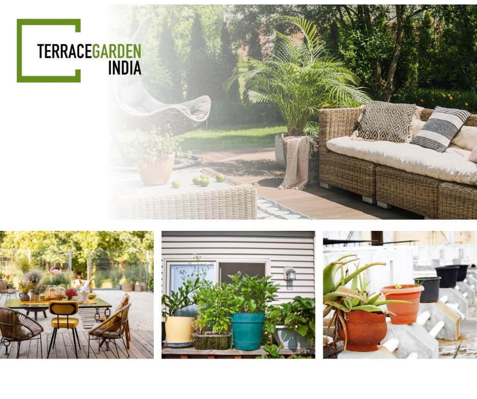 Small Terrace Garden Designers in Bangalore